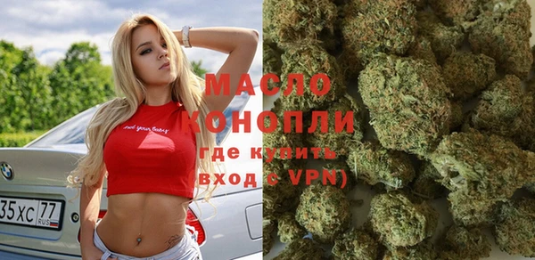 индика Краснослободск