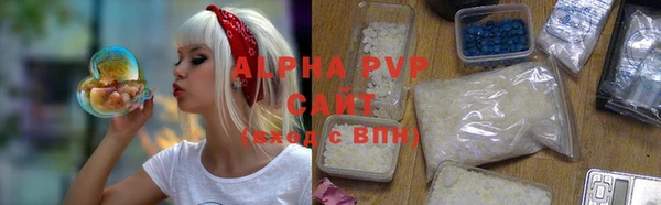 индика Краснослободск