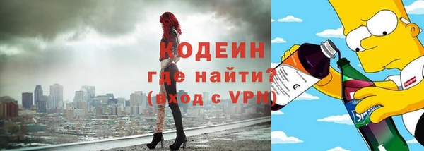 индика Краснослободск