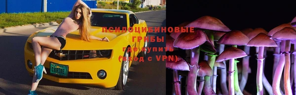 mdpv Краснотурьинск