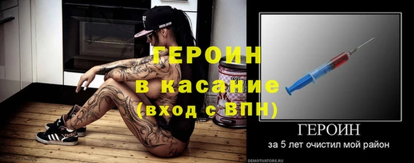 индика Краснослободск