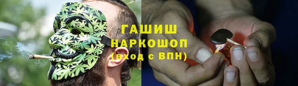 индика Краснослободск
