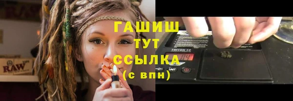 индика Краснослободск