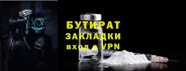 индика Краснослободск