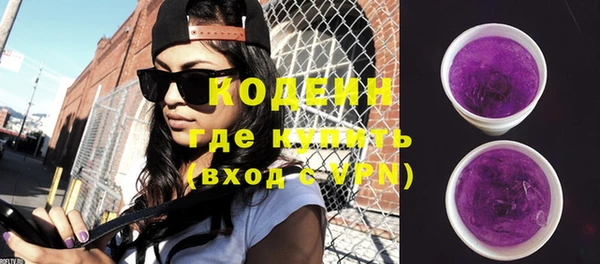 индика Краснослободск