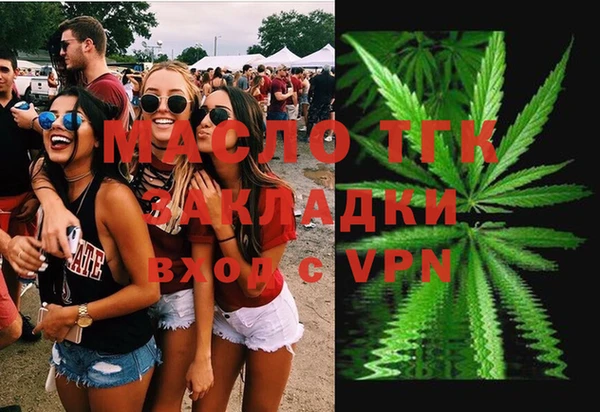 индика Краснослободск