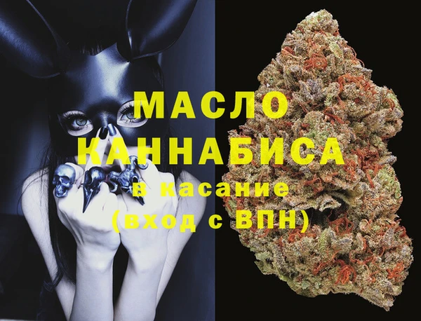 индика Краснослободск