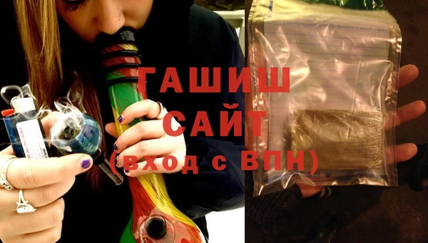 индика Краснослободск